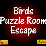 Birds  Puzzle Room  Escape